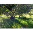 Terreno Agricolo - Posada - Sa Ghirina
