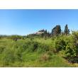 Terreno Agricolo - Posada - Sa Ghirina
