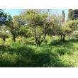 Terreno Agricolo - Posada - Sa Ghirina